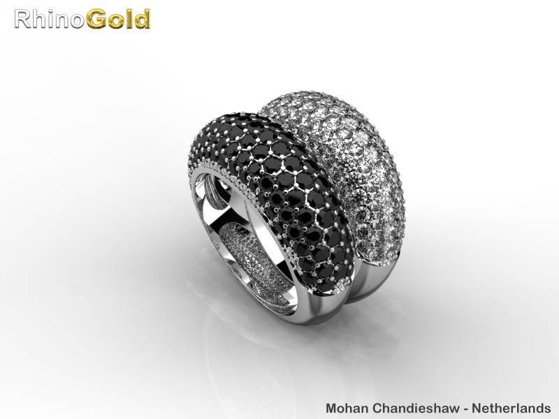 Copyright Mohan Chandieshaw - Netherlands - RhinoGold