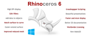Rhino 6